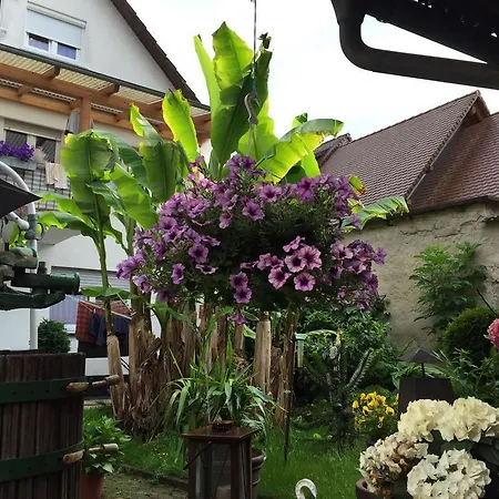 Haus Gisela Apartment Endingen am Kaiserstuhl Exterior photo