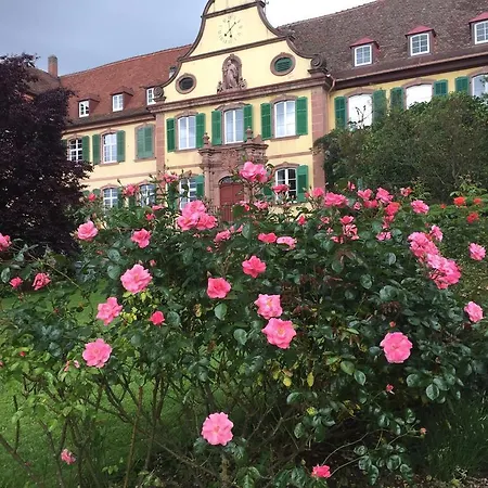 Haus Gisela Apartment Endingen am Kaiserstuhl Exterior photo