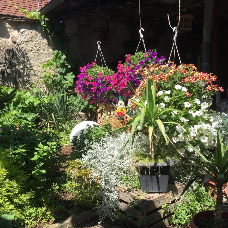 Apartment Haus Gisela Endingen am Kaiserstuhl